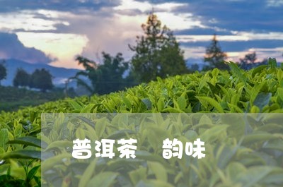 普洱茶 韵味/2023042819325